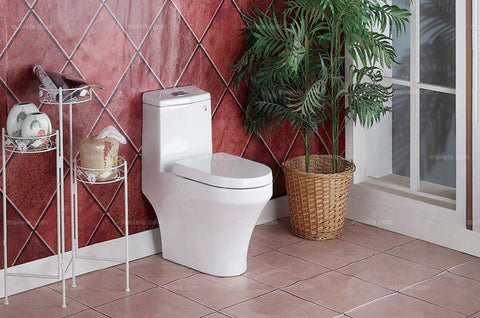 Back To Wall Toilet